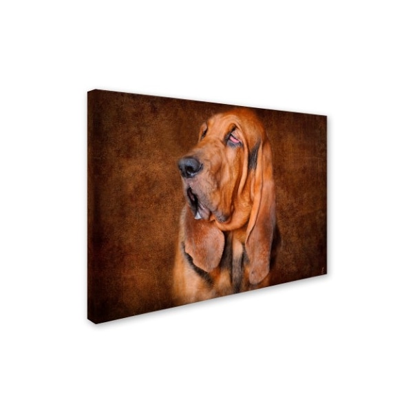 Jai Johnson 'Bloodhound Portrait' Canvas Art,18x24